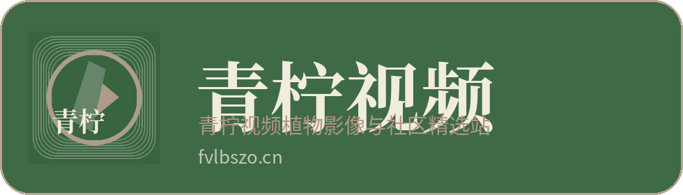 青柠视频